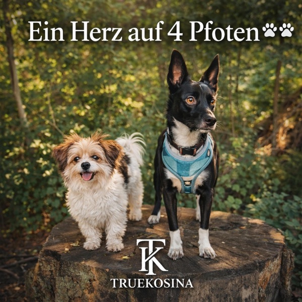 Ein Herz auf 4 Pfoten – Cover