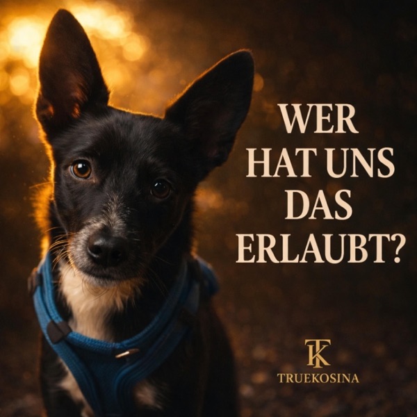 Wer hat uns das erlaubt – Cover