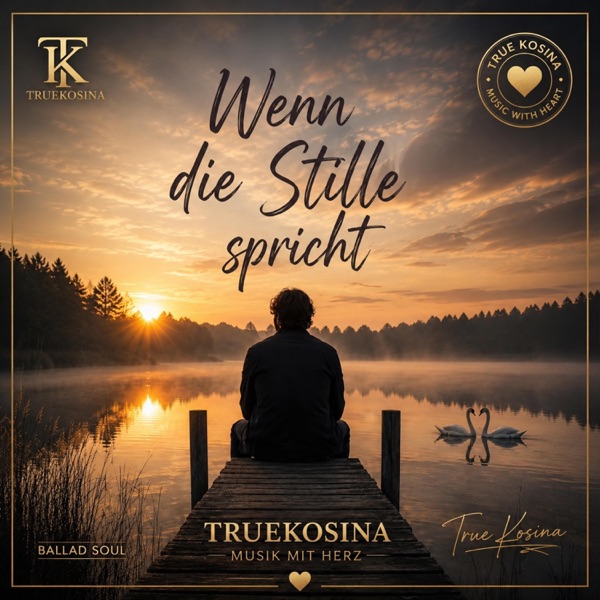 Wenn die Stille spricht – Cover