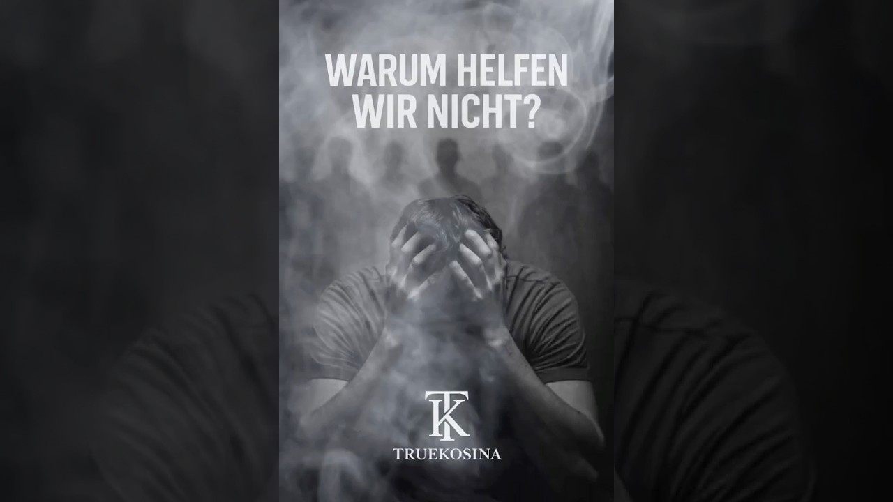 Warum helfen wir nicht? ❤️ | Ein Song, der unter die Haut geht. #WarumHelfenWirNicht #TrueKosina